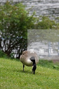 美图钱包逾期会爆通讯录吗 美图钱包逾期会爆通讯录吗