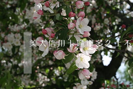 美大信用卡逾期多久上不了网