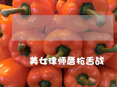 美女律师唇枪舌战 美女律师唇枪舌战