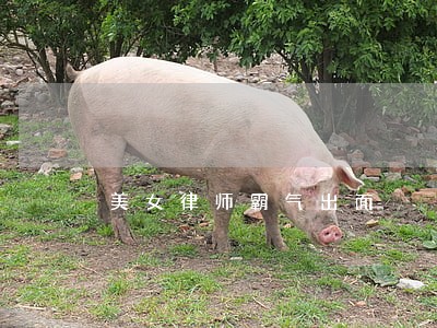 美女律师霸气出面 美女律师霸气出面