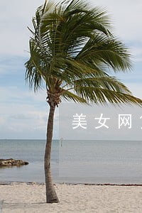 美女网贷逾期19天 美女网贷逾期19天