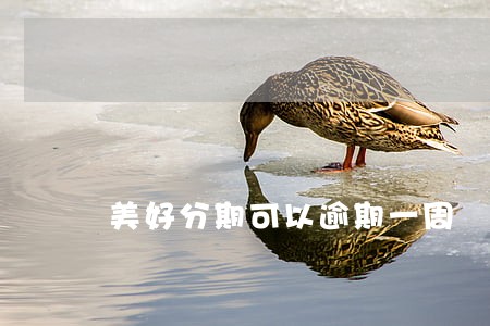 美好分期可以逾期一周嚒 美好分期可以逾期一周嚒
