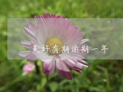 美好有期逾期一年 美好有期逾期一年
