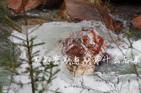 美好有期逾期有什么后果 美好有期逾期有什么后果