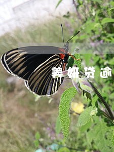 美妍贷逾期多久会打电话 美妍贷逾期多久会打电话