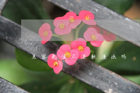 美容充值不退款违法吗