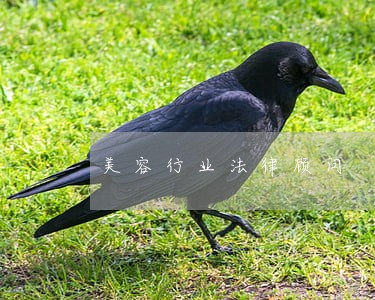 美容行业法律顾问 美容行业法律顾问
