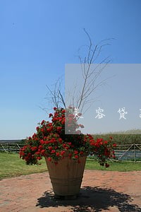 美容贷款逾期一个月会上征信吗 美容贷款逾期一个月会上征信吗