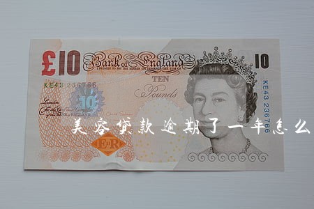 美容贷款逾期了一年怎么处理 美容贷款逾期了一年怎么处理