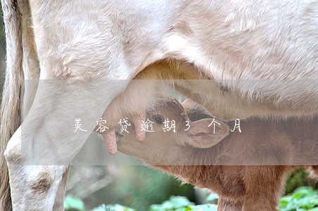 美容贷逾期3个月