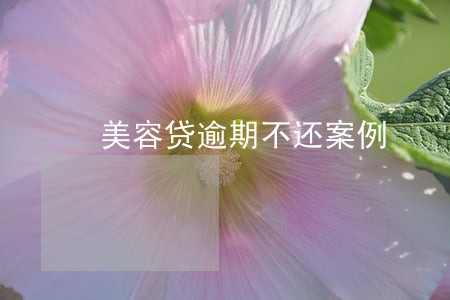 美容贷逾期不还案例 美容贷逾期不还案例