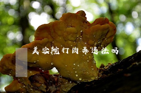 美容院打肉毒违法吗 美容院打肉毒违法吗