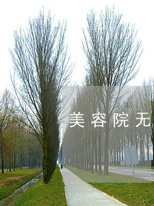 美容院无行医资格证法院处罚