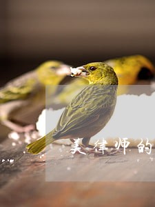 美律师的堕落 美律师的堕落