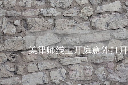 美律师线上开庭意外打开猫咪滤镜 美律师线上开庭意外打开猫咪滤镜