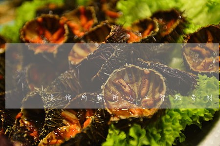 美律所解析人工智能专利诉讼要点 美律所解析人工智能专利诉讼要点
