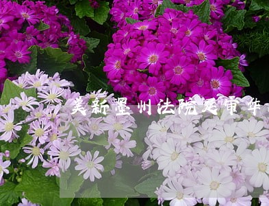 美新墨州法院延审华人偷渡案 美新墨州法院延审华人偷渡案