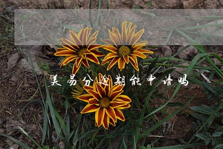 美易分逾期能申请吗