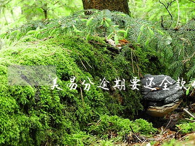 美易分逾期要还全款吗