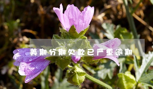 美期分期欠款已严重逾期 美期分期欠款已严重逾期