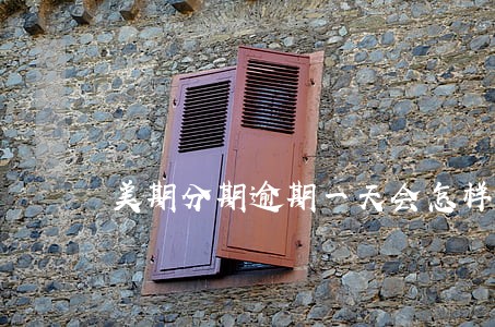 美期分期逾期一天会怎样 美期分期逾期一天会怎样