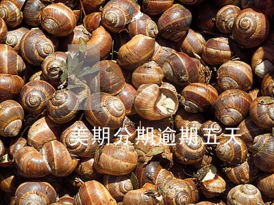 美期分期逾期五天 美期分期逾期五天