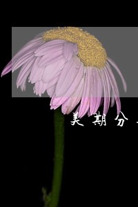 美期分期逾期会上门吗 美期分期逾期会上门吗