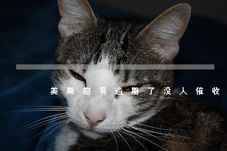 美期趣易逾期了没人催收 美期趣易逾期了没人催收
