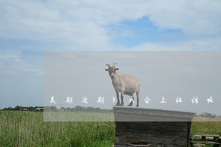 美期逾期3天会上征信嘛 美期逾期3天会上征信嘛