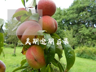 美期逾期后果 美期逾期后果