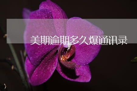 美期逾期多久爆通讯录