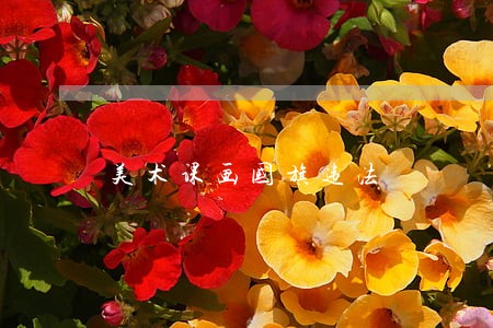 美术课画国旗违法 美术课画国旗违法