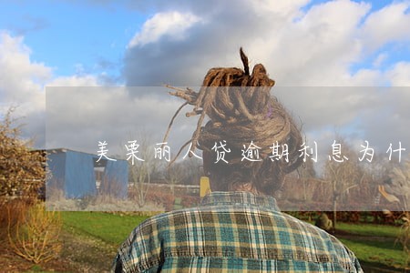 美栗丽人贷逾期利息为什么那么高 美栗丽人贷逾期利息为什么那么高