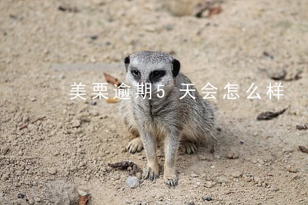 美栗逾期5天会怎么样 美栗逾期5天会怎么样