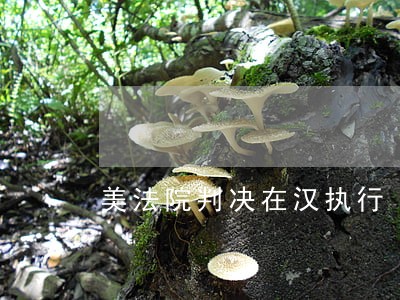 美法院判决在汉执行 美法院判决在汉执行