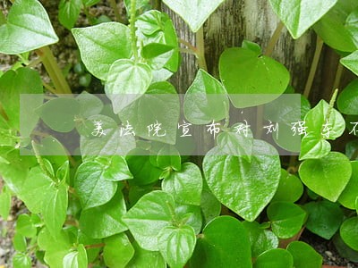 美法院宣布对刘强东不予起诉 美法院宣布对刘强东不予起诉