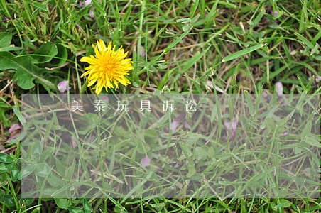 美泰玩具诉讼 美泰玩具诉讼