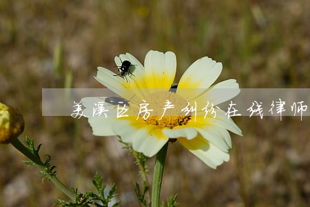 美溪区房产纠纷在线律师 美溪区房产纠纷在线律师