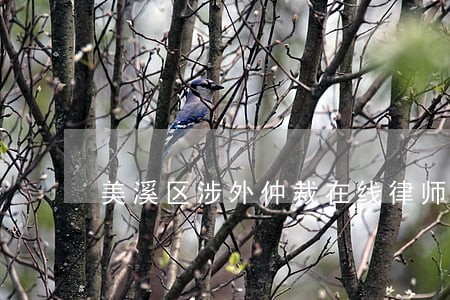 美溪区涉外仲裁在线律师咨询 美溪区涉外仲裁在线律师咨询