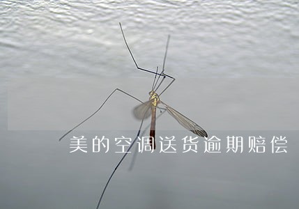 美的空调送货逾期赔偿 美的空调送货逾期赔偿