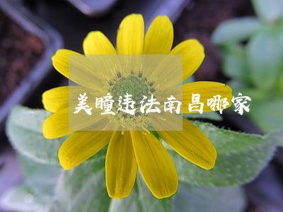 美瞳违法南昌哪家