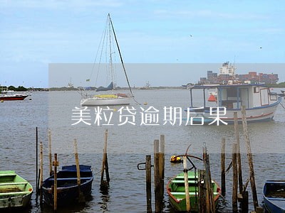 美粒贷逾期后果 美粒贷逾期后果