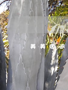 美美团逾期会上征信吗 美美团逾期会上征信吗