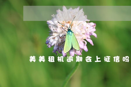 美美租机逾期会上征信吗