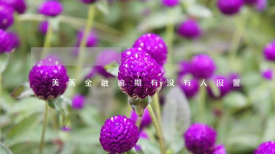 美美金融逾期有没有人报警 美美金融逾期有没有人报警