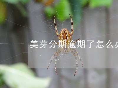 美芽分期逾期了怎么办 美芽分期逾期了怎么办