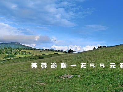 美芽逾期一天55元利息 美芽逾期一天55元利息