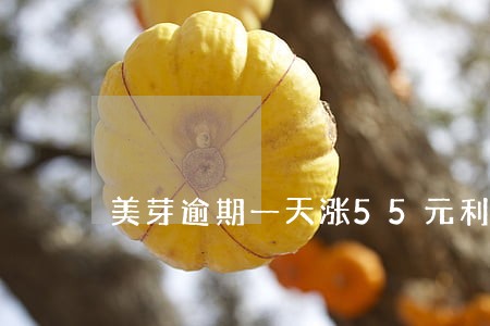 美芽逾期一天涨55元利息
