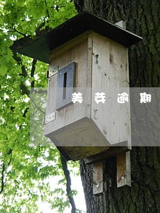 美芽逾期三个月 美芽逾期三个月