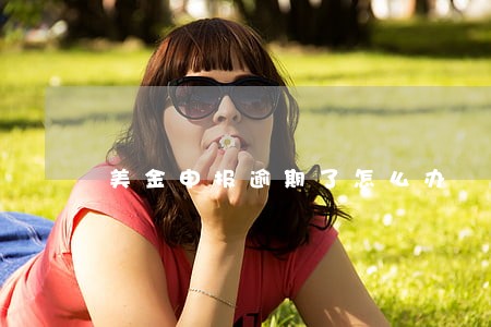 美金申报逾期了怎么办 美金申报逾期了怎么办